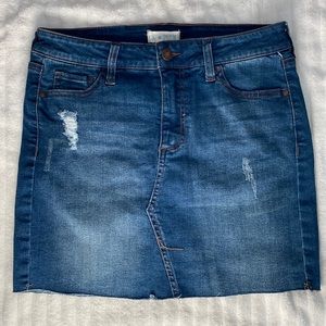 Sky and sparrow Jean skirt